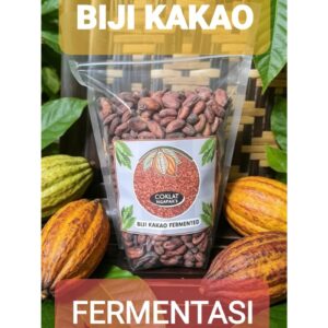 BIJI KAKAOCOKELAT FERMENTASI DAN NON FERMENTASI (BIJI ASALAN) - biji kakao fermentasi