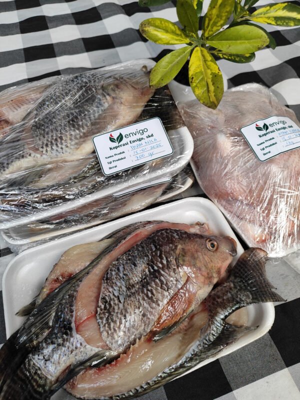 Daging Ayam Karkas Beku (Frozen) – Per Kg - Gambar 3