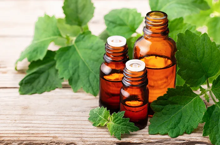 Peluang Bisnis Patchouli Oil