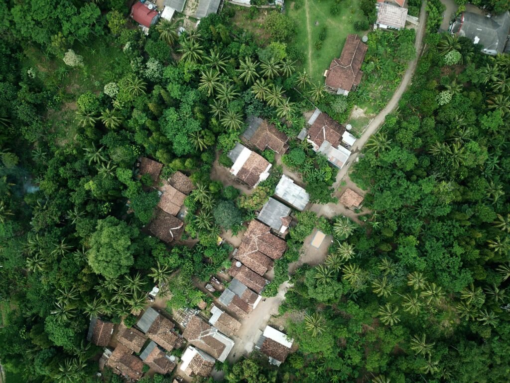 Aerial view capturing a lush green rural village surrounded by dense vegetation, depicting a serene and natural environment.